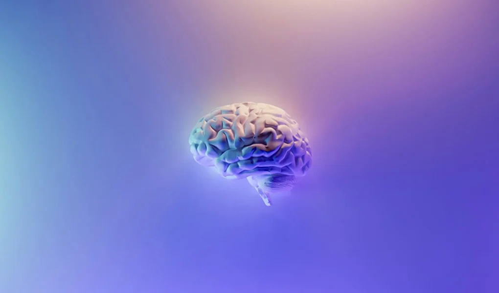 Neuralink Brain Chip